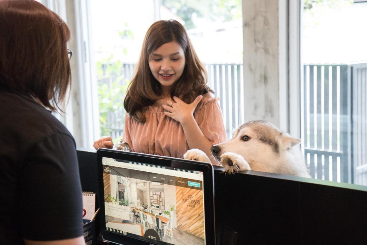 Ketawa Pet Friendly Hotel Chiang Mai Bagian luar foto