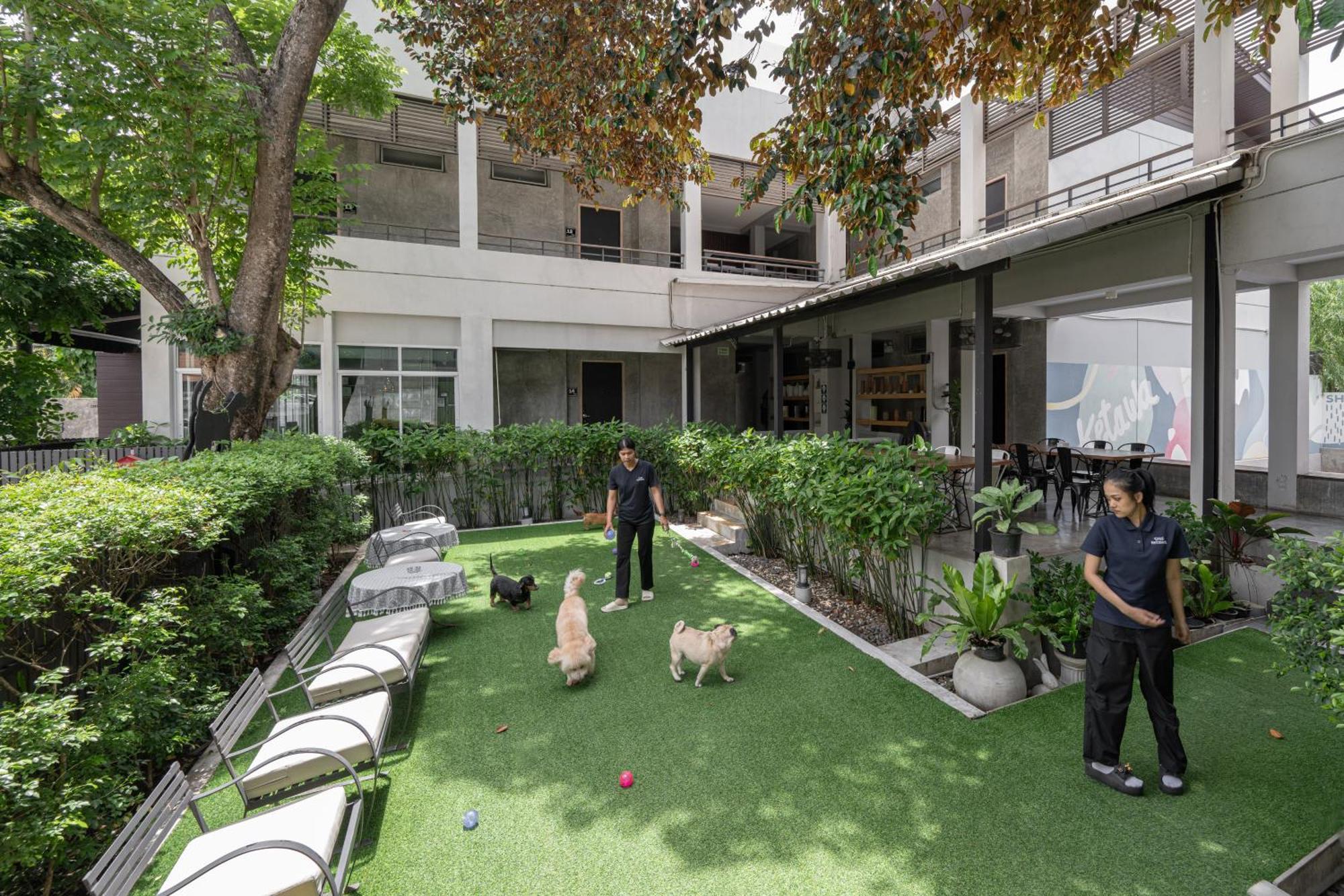 Ketawa Pet Friendly Hotel Chiang Mai Bagian luar foto