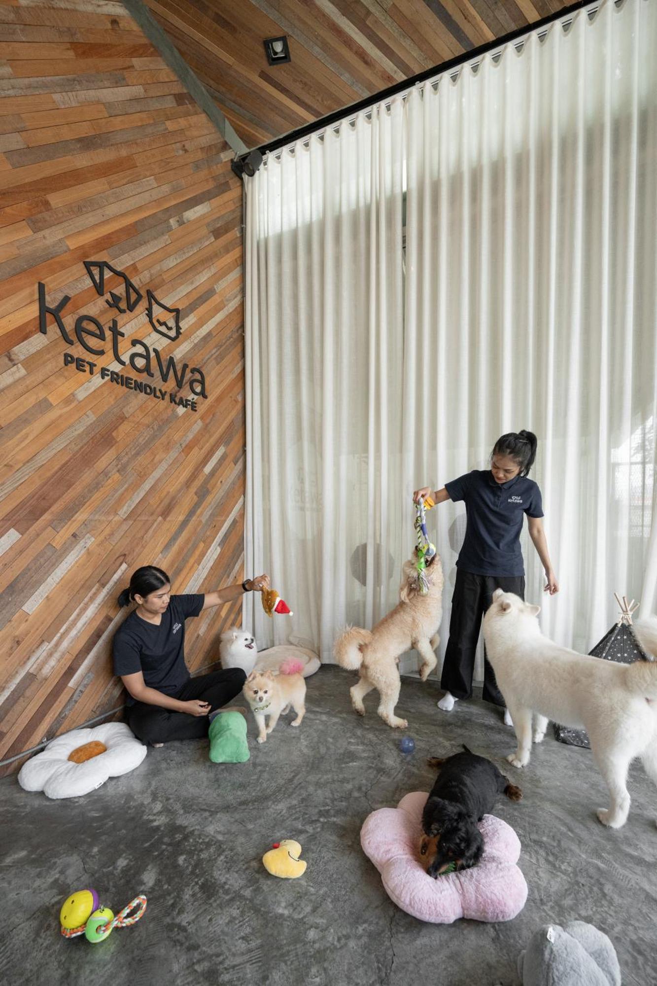 Ketawa Pet Friendly Hotel Chiang Mai Bagian luar foto