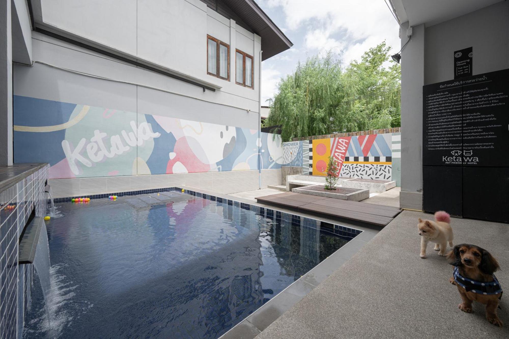 Ketawa Pet Friendly Hotel Chiang Mai Bagian luar foto