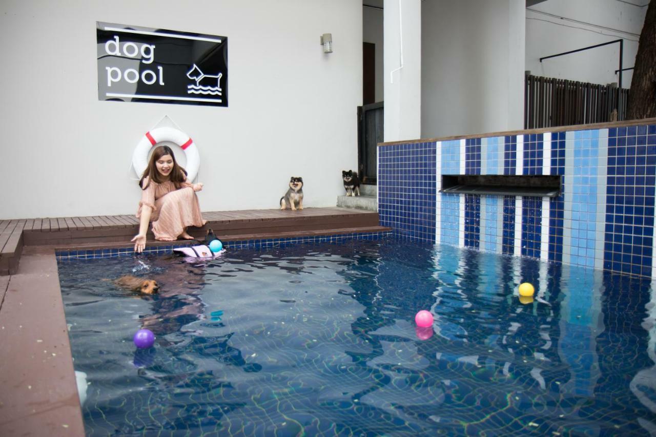 Ketawa Pet Friendly Hotel Chiang Mai Bagian luar foto